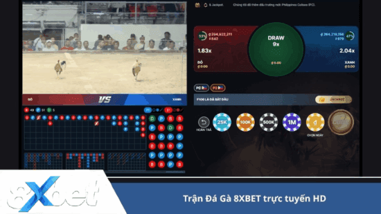 Đá gà 8xbet mang đến trải nghiệm livestream chân thực sống động