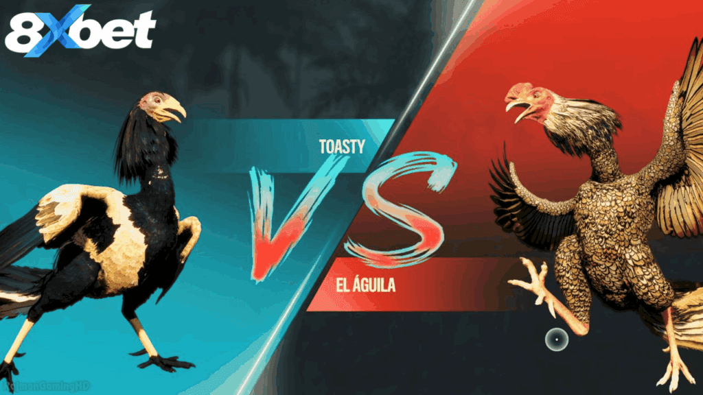 Tầm quan trọng của tỷ lệ kèo đá gà hôm nay