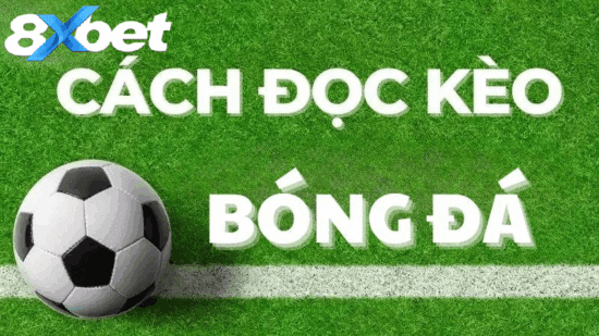 Thể thao 8xbet hỗ trợ tân binh với kiến thức và chỉ dẫn cơ bản