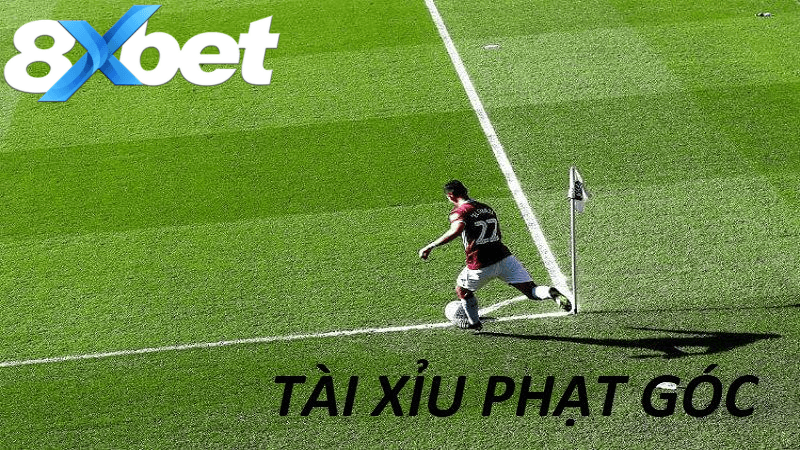 Tìm hiểu chi tiết về kèo tài xỉu phạt góc