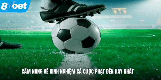 Chiến lược kèo đá phạt đền dựa vào dữ liệu và diễn biến trận