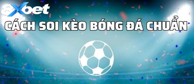 Soi kèo bóng đá chuẩn giúp tăng độ chính xác khi đặt cược