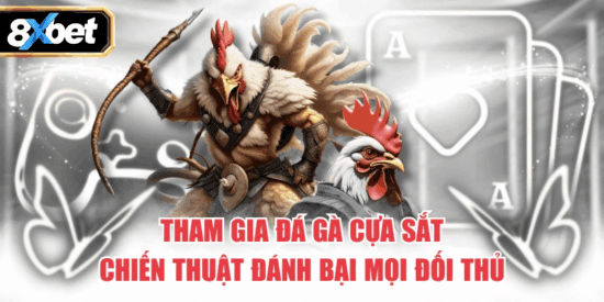 Chiến thuật chuẩn bị kỹ lưỡng quyết định thắng thua đá gà cựa sắt