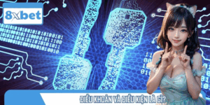Điều khoản và điều kiện 8xbet bảo đảm công bằng, minh bạch và quyền lợi hội viên