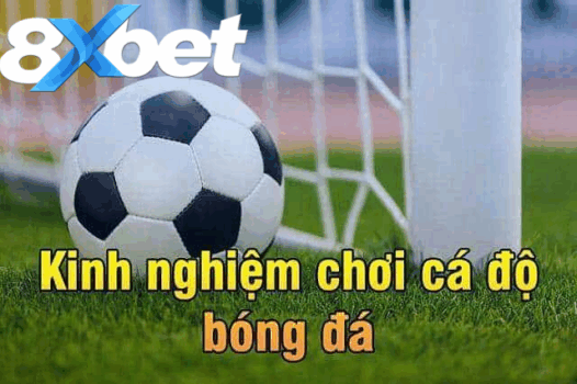 Kinh nghiệm thực tế khi áp dụng cách soi kèo bóng đá chuẩn