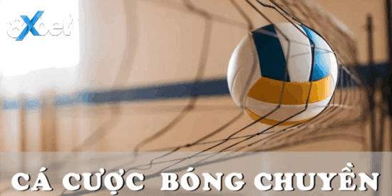 Các kèo bóng chuyền 8xbet đa dạng và phù hợp nhiều phong cách cược