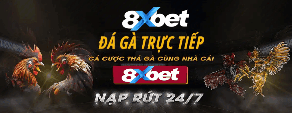 Sức hút nổi bật của đá gà trực tiếp