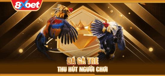 Sức hút đặc biệt của đá gà tre
