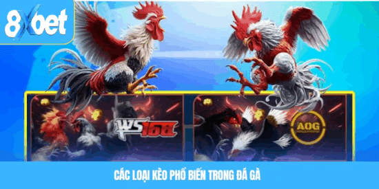Các loại kèo phổ biến trong tỷ lệ kèo đá gà